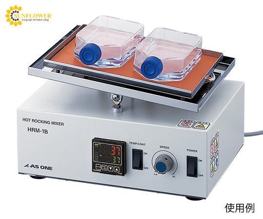 maytronrockinggianhietasone1616811hrm15484 maytronrockinggianhietasone1616811hrm15484