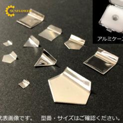 Miếng thép chuẩn cân E-2 Class AS ONE 3-1586-16 5mg
