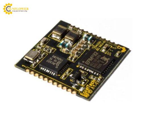 modunrfidecceltechnologyrfida100319.pn4406