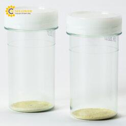 Môi trường nuôi cấy EC Blue 100 (100mL x 80pcs) Shimadzu Diagnostics 05593