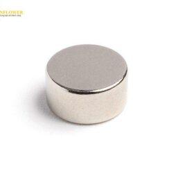 Nam châm Neodymium (loại tròn, φ22 x 10mm, 2 cái) Niroku Seisakusho NE019
