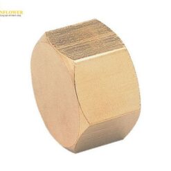 Nắp lục giác PT1/4 ASOH NC-1002