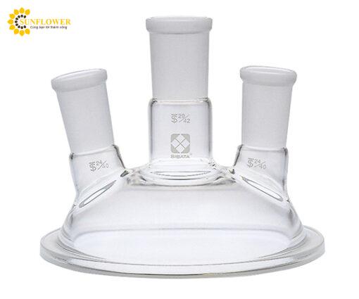 napthuytinh3cots2942borosilicateglass19004