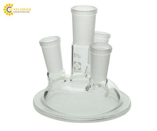 napthuytinh4coborosilicateglass1sibata7327