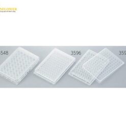 Tấm nuôi cấy tế bào 48 giếng đáy phẳng Corning(Falcon) 3548