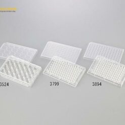 Tấm nuôi cấy tế bào 96 giếng chữ V Corning(Falcon) 3894