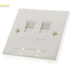 Tấm ốp tường đôi RJ45 Cat5e UTP 1 (5 cái/ túi) Molex Premise Networks BWNC-00008-02