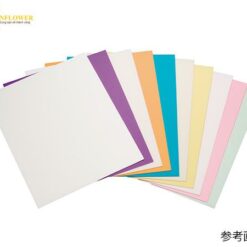Tấm phim đánh bóng chính xác RIKEN CORUNDUM SKF800, #800