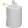 techspray11608100risopropylalc300