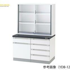 Tủ đựng hóa chất (1800 x 400/750 x 900mm, cửa kính trong suốt) AS ONE 3-5767-11 YDB-975