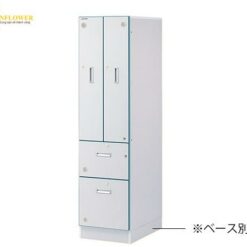 Tủ đựng hóa chất bằng gỗ (450 x 700 x 1700mm) AS ONE 3-5316-21 W-4HN