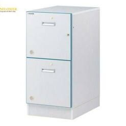Tủ đựng hóa chất bằng gỗ (700 x 450 x 850mm) AS ONE 3-5315-11 W-2GN