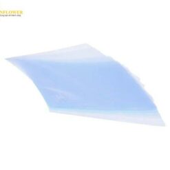 Túi clear trong suốt (A4, 1 hộp (100 cái)) Esselte 54832