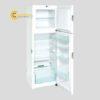 tulanhdongchongnonihonfreezerct33162366109