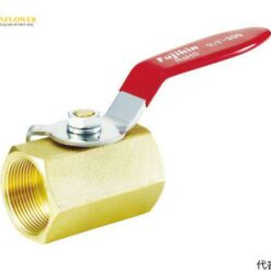 Van bi mini bằng đồng thau (1.96MPa, 5 x 2) Fujikin DBV-12I-R