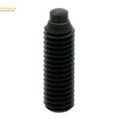 Vít đầu tròn Imao RCS10X43