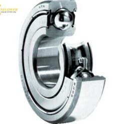 Vòng bi (10mm x 19mm x 5mm) NTN 6800ZZ