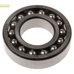 Vòng bi hướng tâm tự cân bằng (30 x 62mm) SKF 1206 ETN9