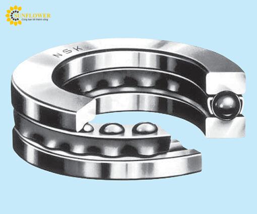 vongbilucdaynskltd51100.png2744