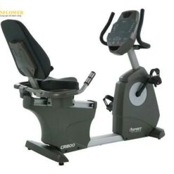 Xe đạp tập thể dục Dyaco Japan CR800