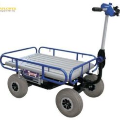 Xe đẩy điện nhiều bánh CHIKUSUI CANYCOM INC EJ20V