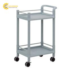 Xe đẩy hàng di động (2 tầng, có khung bảo vệ, tay cầm, nhựa PP (polypropylene), ABS, 610 x 370 x 897mm) AS ONE 3-6497-05 MSO11G